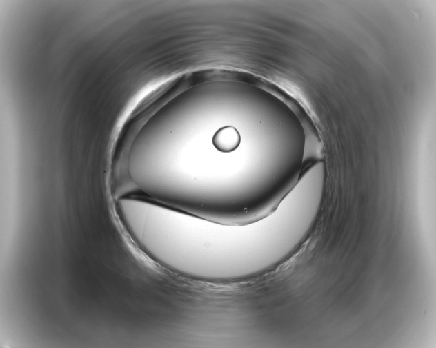 X0000087001136200704301352