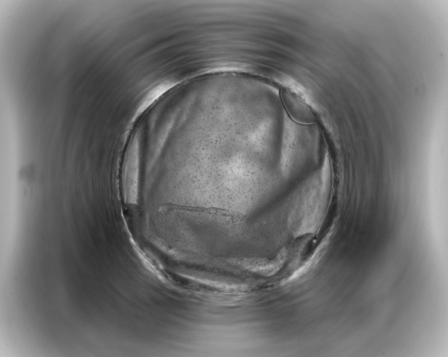 X0000087001137200704301352