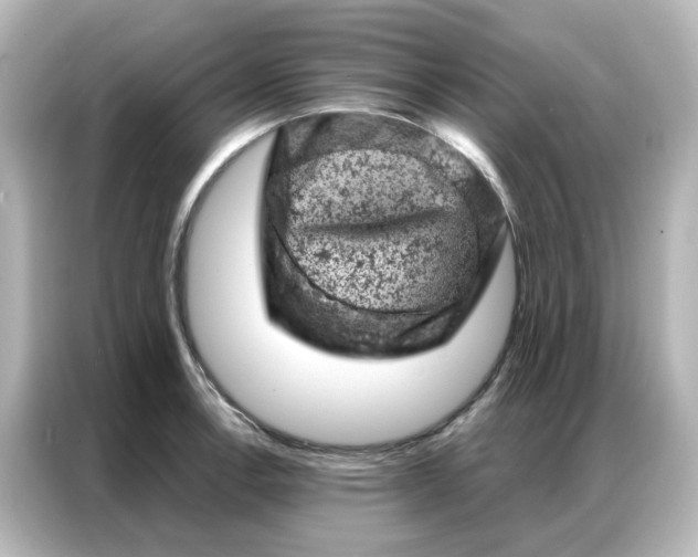 X0000087001138200704301352