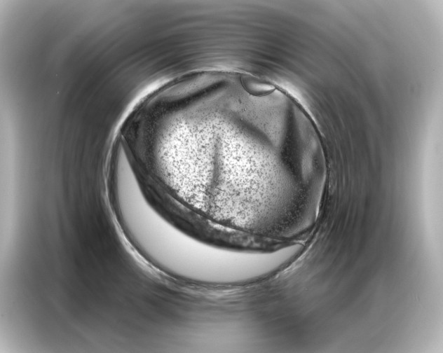 X0000087001139200704301352