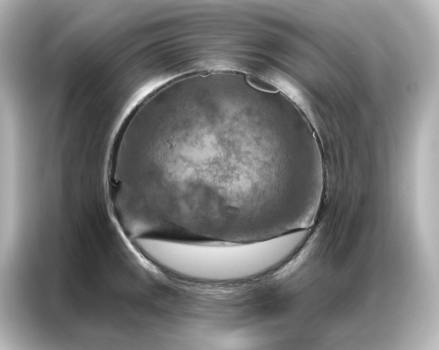 X0000087001141200704301352