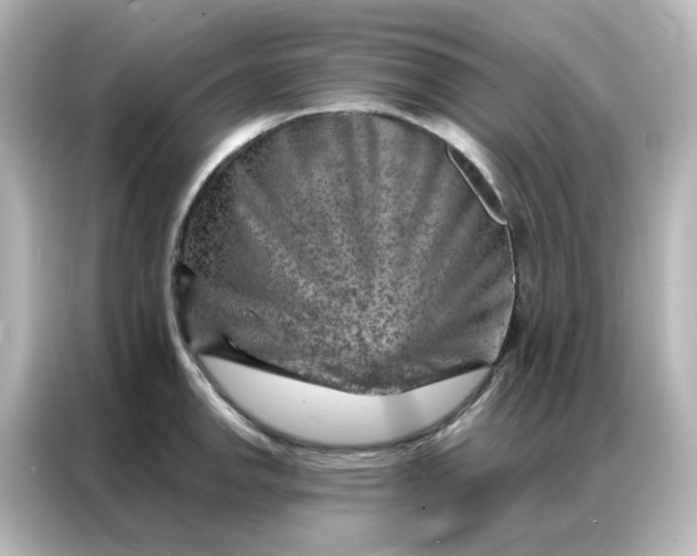 X0000087001142200704301352