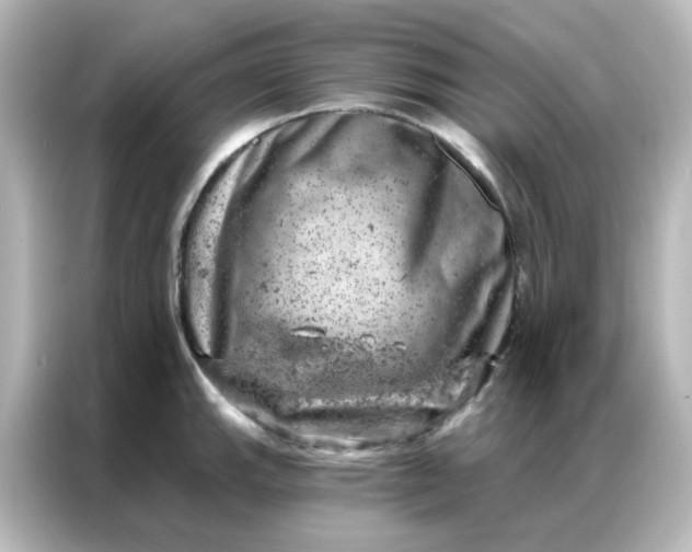 X0000087001143200704301352