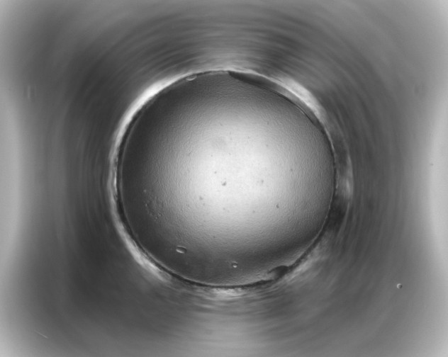 X0000087001144200704301352