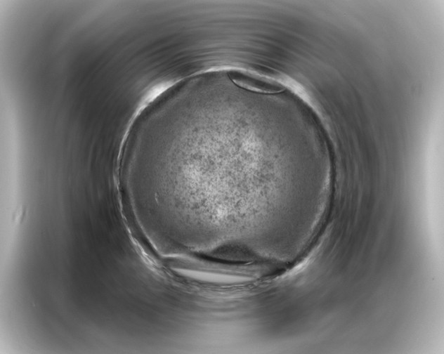 X0000087001145200704301352
