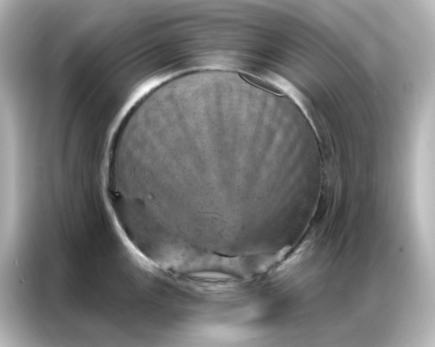X0000087001147200704301352