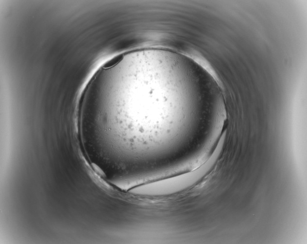 X0000087001148200704301352