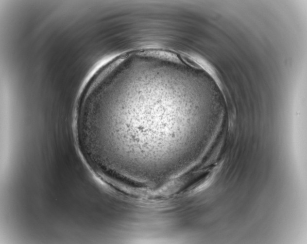 X0000087001149200704301352