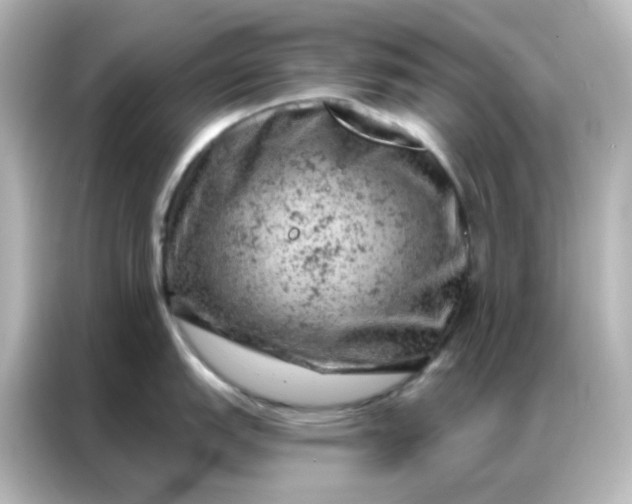 X0000087001151200704301352