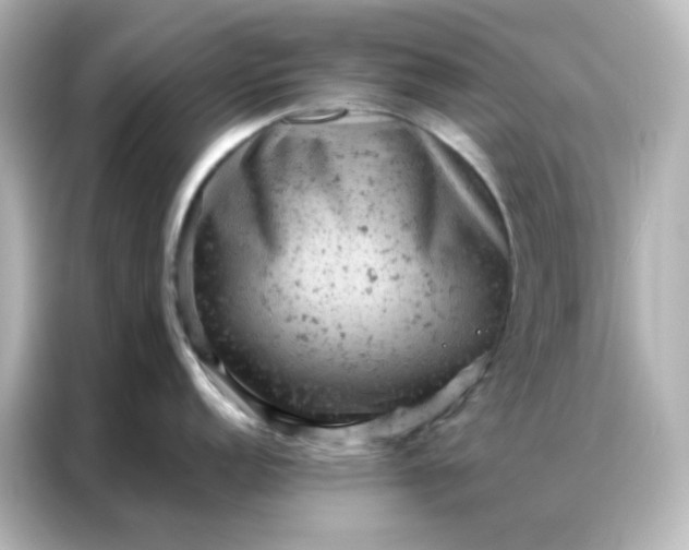 X0000087001152200704301352