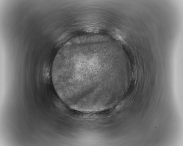 X0000087001154200704301352
