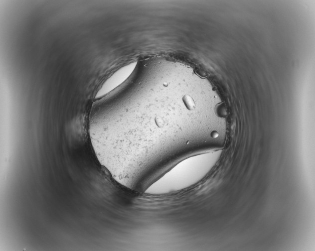 X0000087001156200704301352