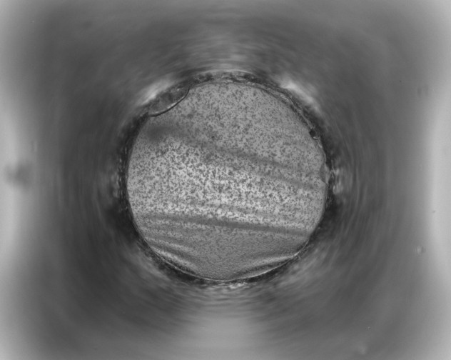 X0000087001159200704301352