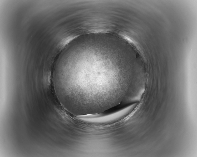 X0000087001161200704301352