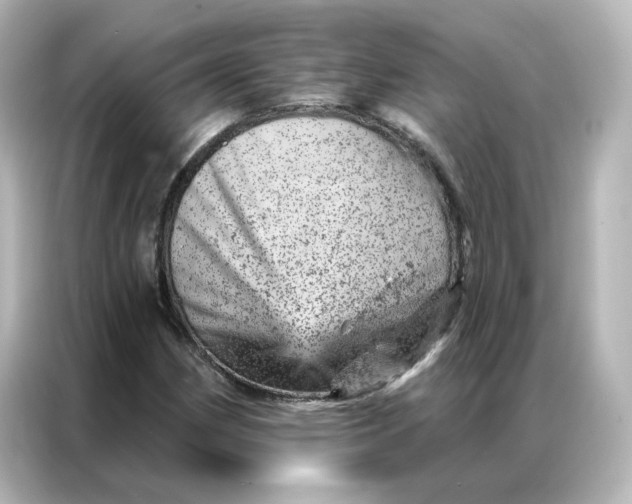 X0000087001162200704301352