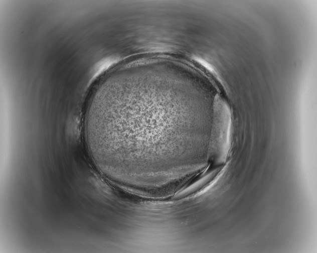 X0000087001163200704301352