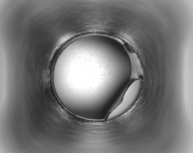 X0000087001164200704301352