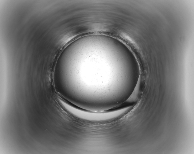 X0000087001169200704301352