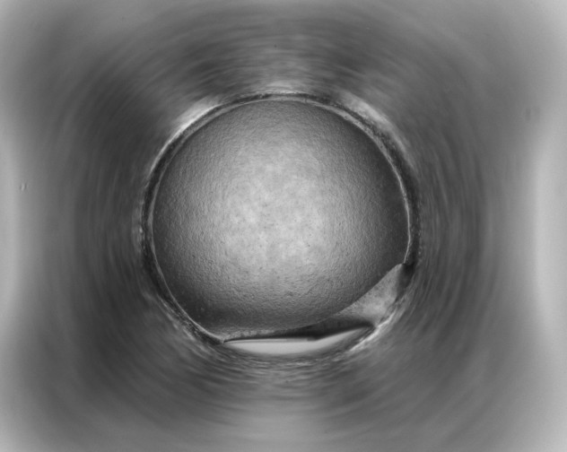 X0000087001170200704301352
