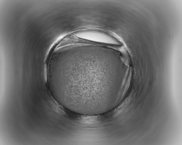 X0000087001171200704301352