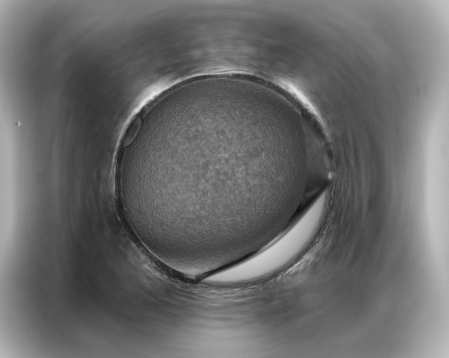 X0000087001173200704301351