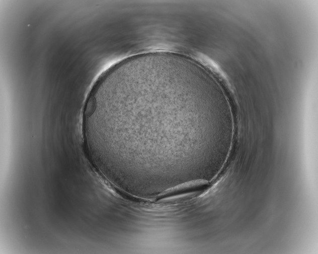 X0000087001174200704301351