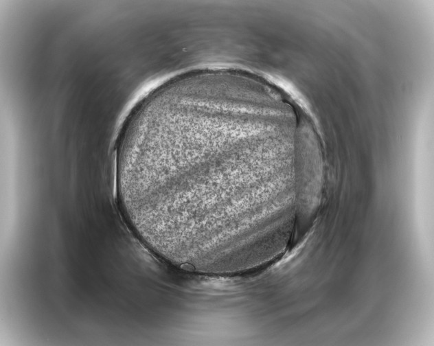 X0000087001175200704301351