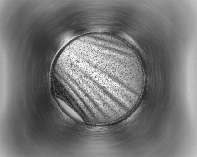 X0000087001178200704301351