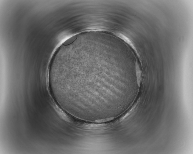 X0000087001179200704301351
