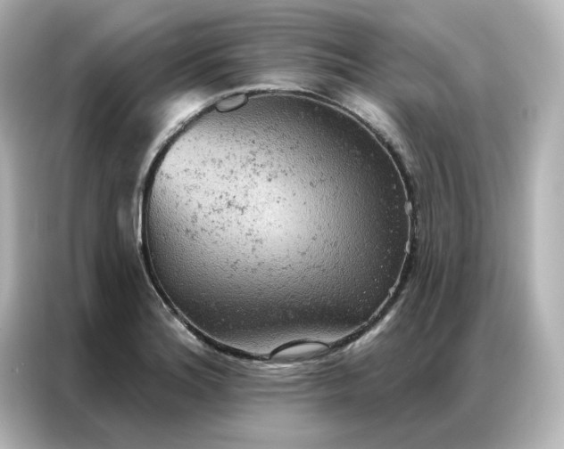 X0000087001180200704301351