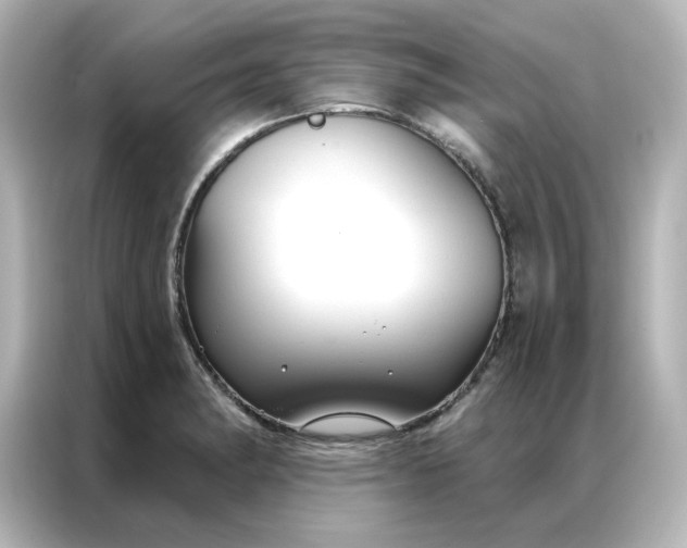 X0000087001182200704301351