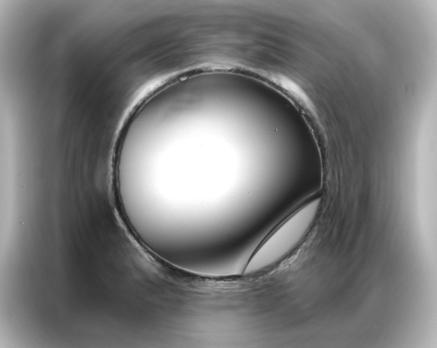 X0000087001183200704301351