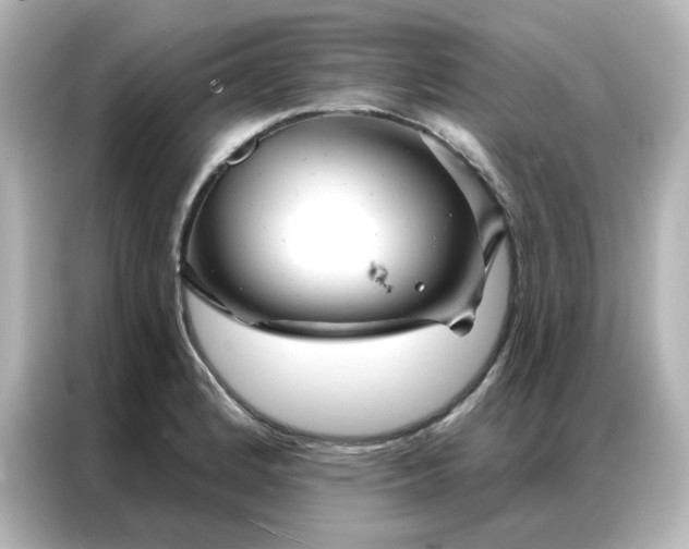 X0000087001184200704301351