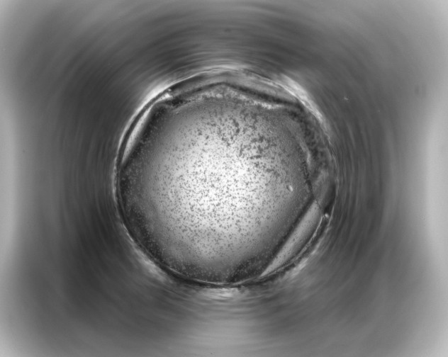 X0000087001186200704301351