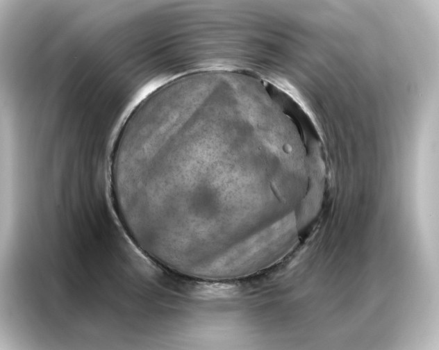 X0000087001187200704301351