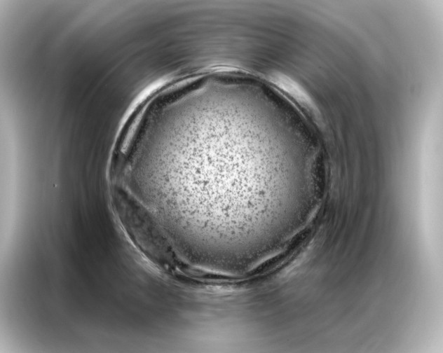 X0000087001190200704301351