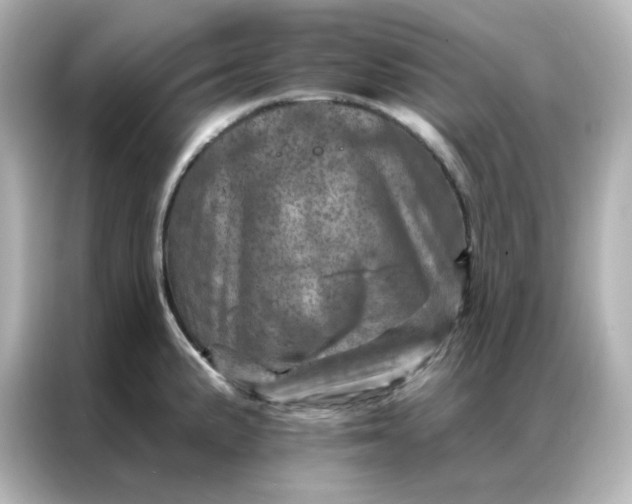 X0000087001191200704301351