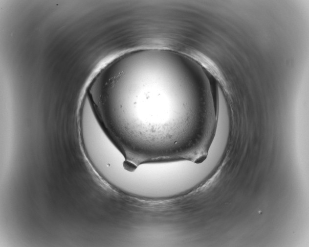 X0000087001192200704301351