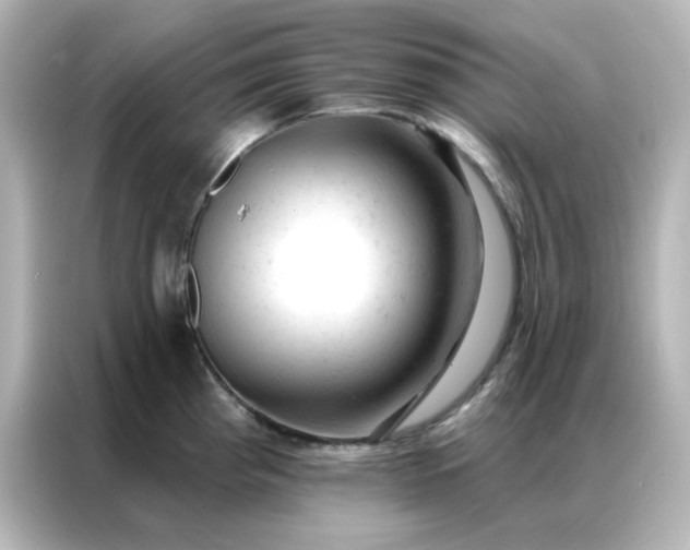 X0000087001193200704301351