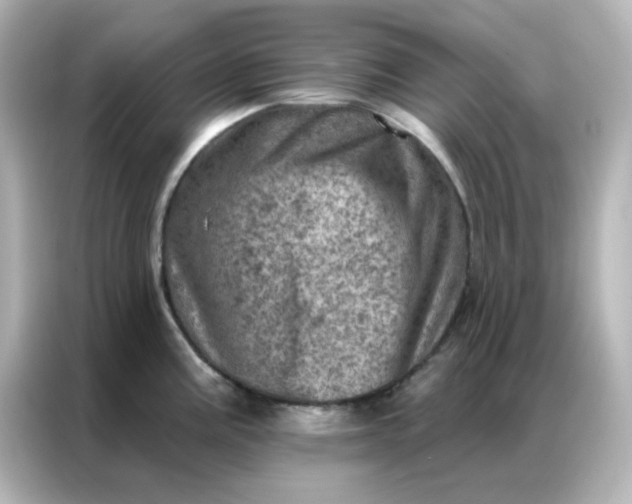 X0000087001195200704301351