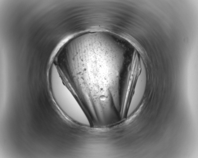 X0000087001196200704301351