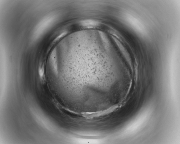 X0000087001198200704301351