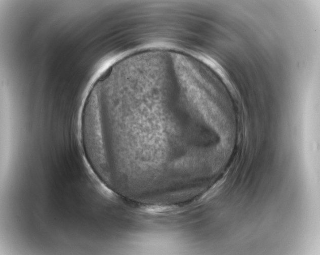 X0000087001199200704301351