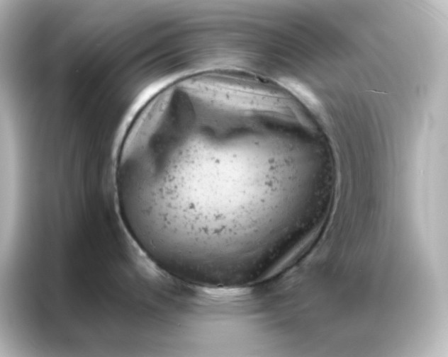 X0000087001200200704301351