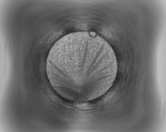 X0000087001201200704301351