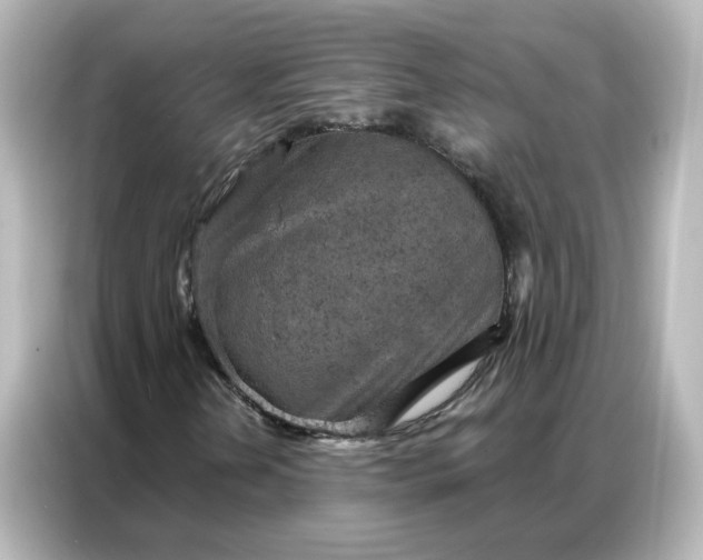 X0000087001202200704301351