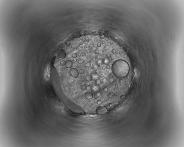 X0000087001203200704301351