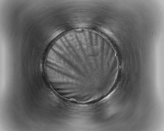 X0000087001209200704301351