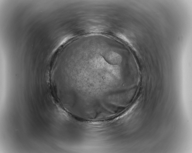 X0000087001211200704301351