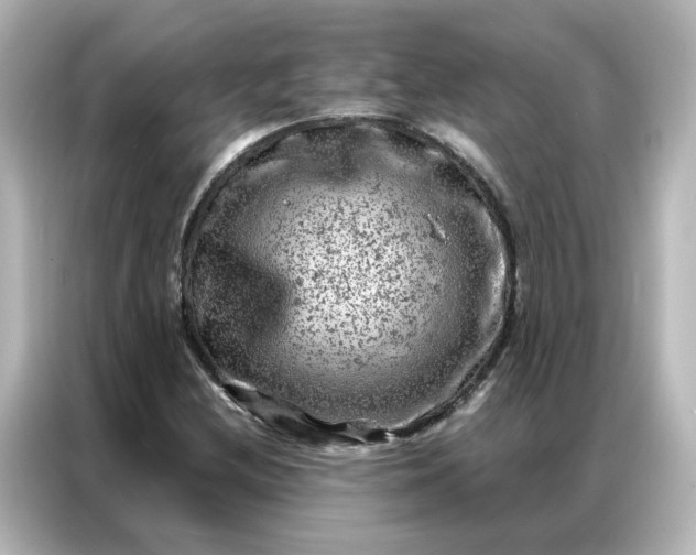 X0000087001212200704301351
